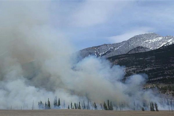 Photo Credit: Photo on Pexels